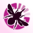 Flower-Insect Timed Counts (FIT Count): ...